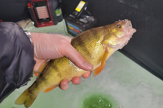 Ice Fishing in Park City - Highlights