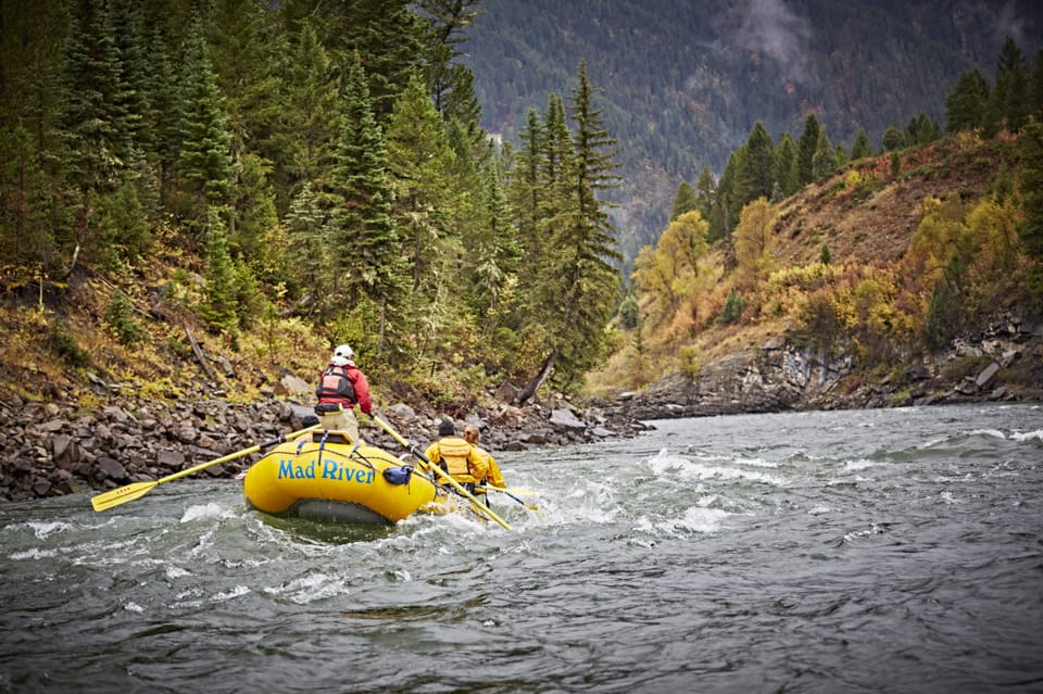 Jackson: 8-Mile Classic Boat Whitewater Rafting Trip - Highlights of the Jackson 8-Mile Whitewater Trip