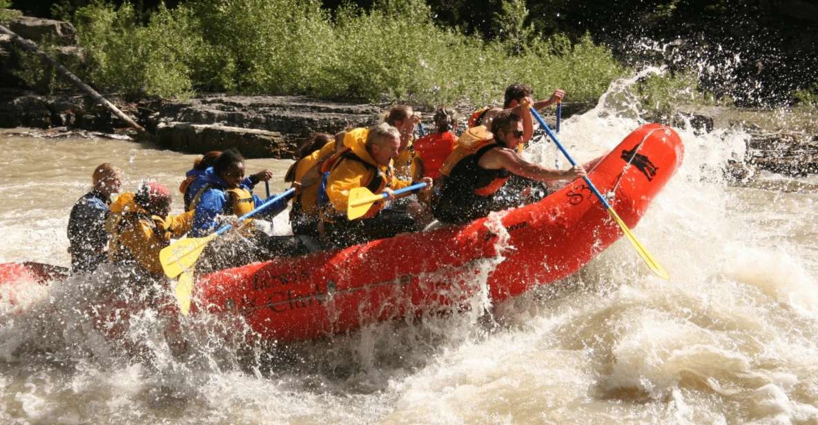 Jackson Hole: Snake River Whitewater Rafting Tour - Highlights of the Snake River Rafting Experience