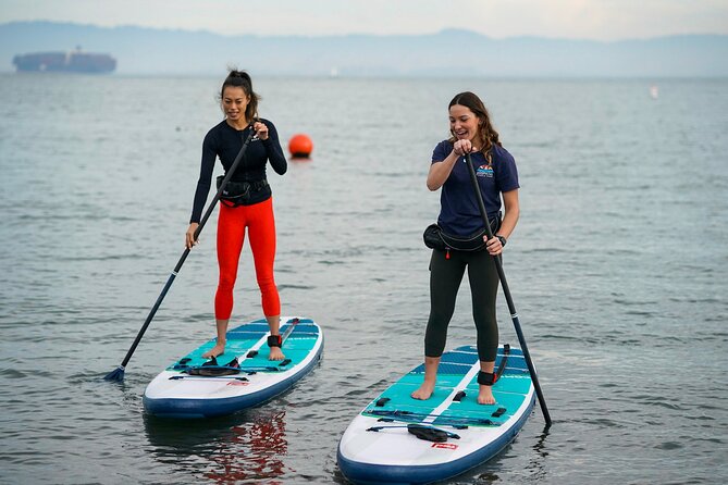 Learn to Paddle Board on the San Francisco Bay! - Highlights