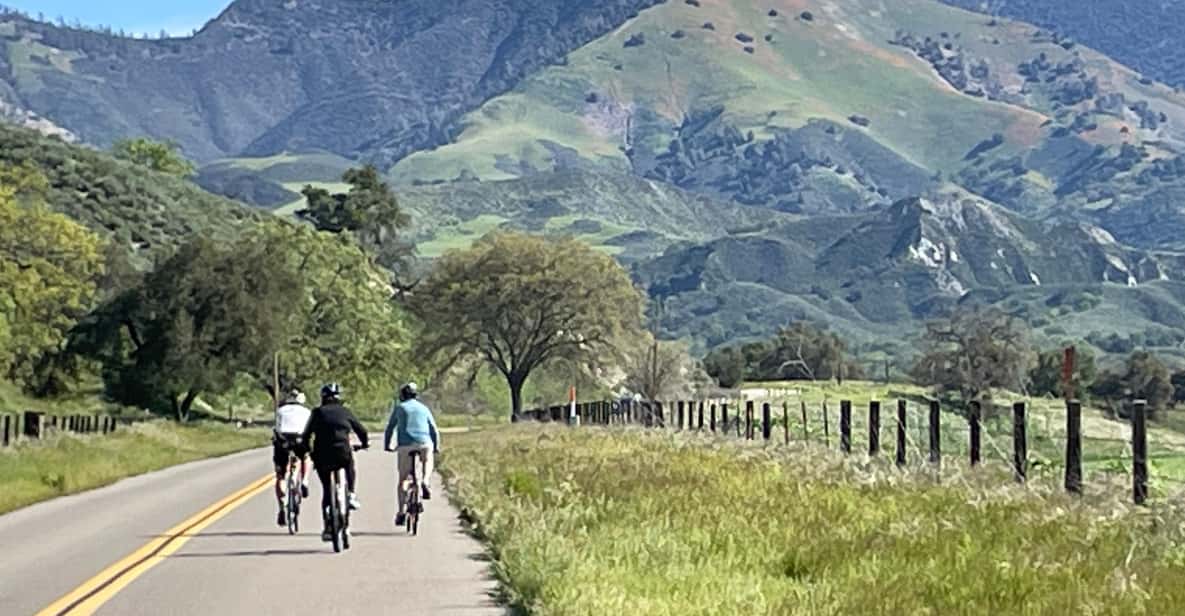 Los Olivos: E-Bike Tour + Vineyard Lunch w/Wine Tasting - The Itinerary Detailed: What to Expect