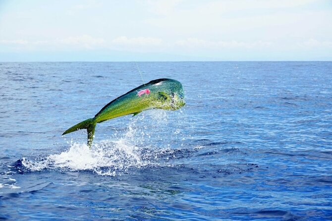 Marathon Florida Keys Fishing Experience Big Game - Highlights of the Marathon Florida Keys Big Game Fishing Experience