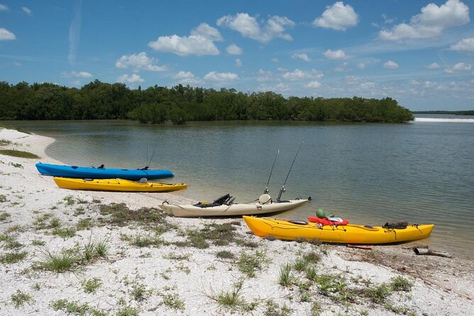 Marco Island Inshore Fishing Charters - Highlights