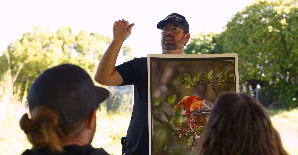 Maui: Honolua Ridgeline Informational Hike - Highlights