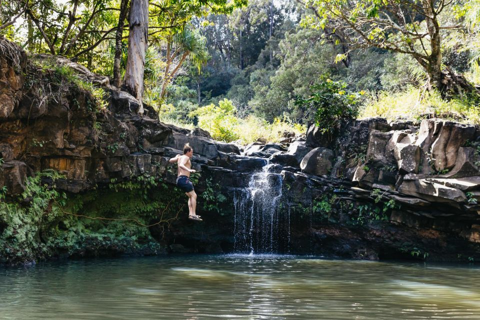 Maui: Rainforest Waterfalls Guided Hike with Picnic Lunch - Highlights of the Maui Rainforest Waterfalls Hike