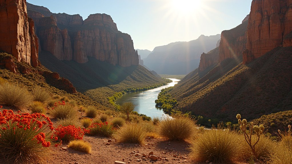 mountains and desert collide
