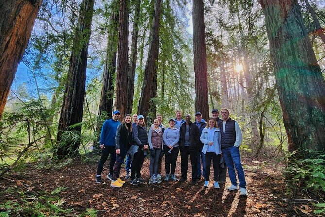 Napa Valley Redwood Hike - Highlights of the Napa Valley Redwood Hike