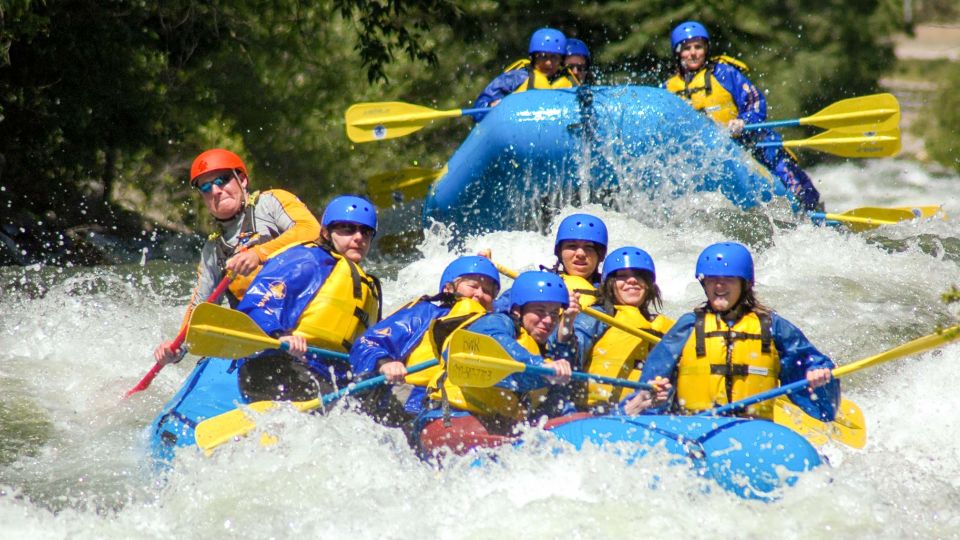 Near Denver: Clear Creek Intermediate Whitewater Rafting - Highlights