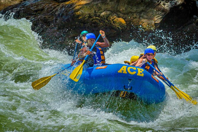 New River Gorge Whitewater Rafting, WV - Lower New Full Day - Highlights of the Lower New River Gorge Whitewater Rafting Experience