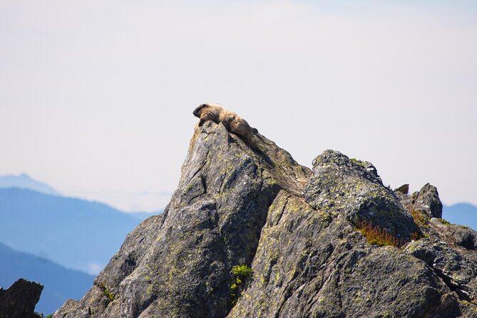 North Cascades Full Day Private Tour and Hike - An In-Depth Look at the Itinerary