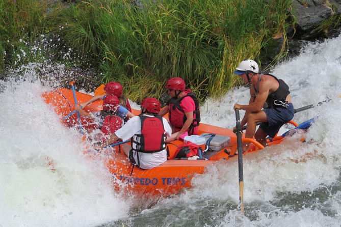 Nugget Falls class IV Half-Day Rafting on The Rogue River - Highlights