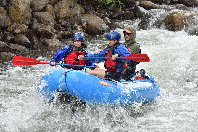 Numbers Half Day Arkansas River Intermediate Rafting Trip - Highlights of the Numbers Half Day Arkansas River Intermediate Rafting Trip
