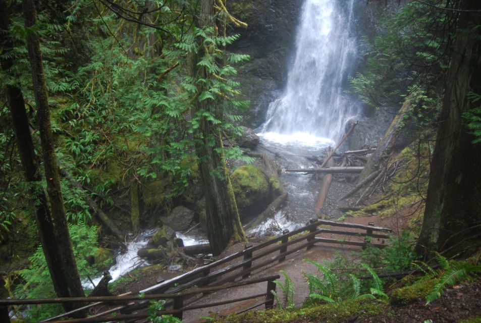 Olympic National Park: Sol Duc and Hurricane Ridge Tour - Highlights of the Olympic National Park: Sol Duc and Hurricane Ridge Tour