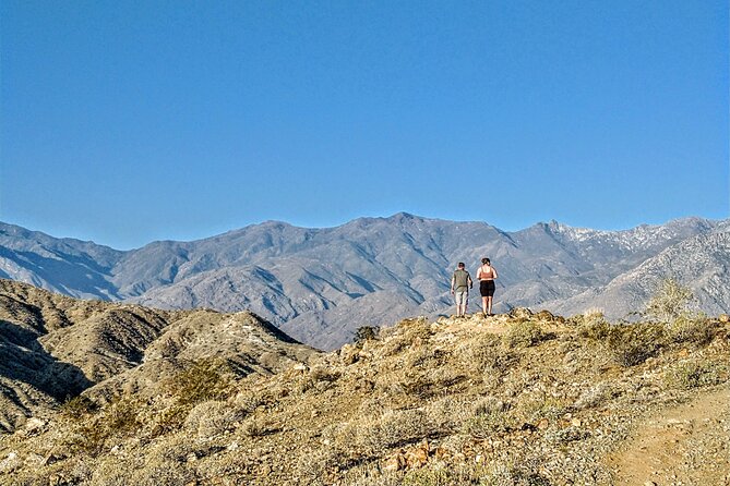 Palm Springs Hike to an Oasis and Amazing Desert Views - Highlights of the Palm Springs Hike to an Oasis