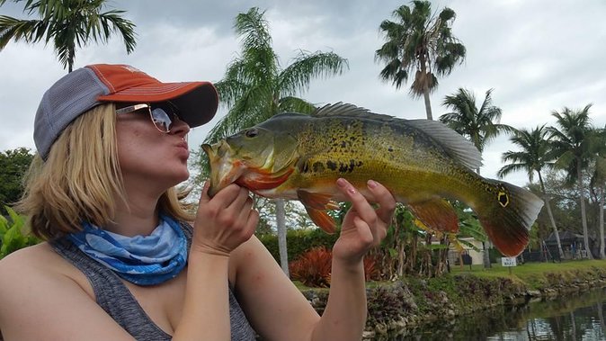 Peacock Bass Fishing Trip in Boynton Beach - Highlights
