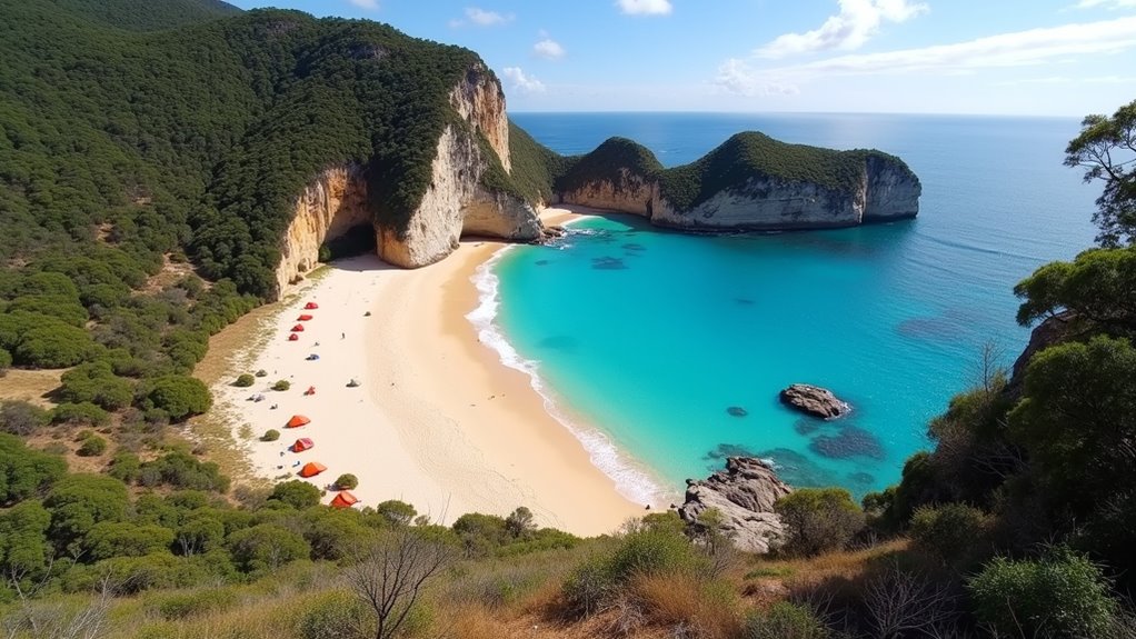 pristine coastal camping experience