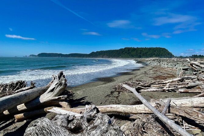 Private Day Hike in the Ozette Triangle - Introduction