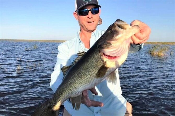 Private Lake Istokpoga Bass Fishing Charter in Sebring - Highlights of the Lake Istokpoga Fishing Charter