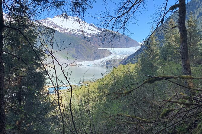 Rainforest & Waterfalls Trek - What to Expect: A Deep Dive into the Journey
