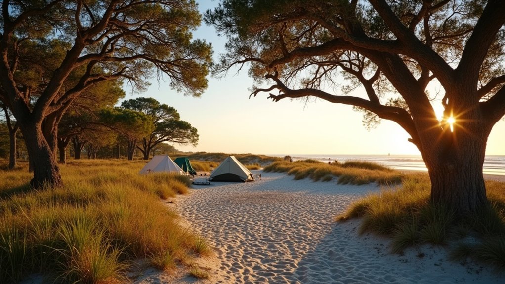remote wilderness barrier island