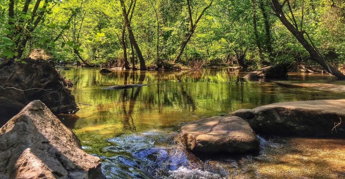 Richmond: Guided Hike in James River Park - Highlights of the Guided Hike in James River Park