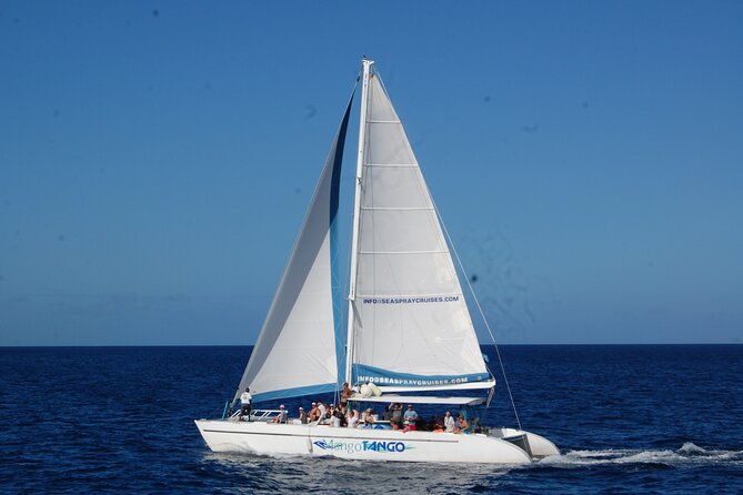 Rodney Bay to Soufriere Catamaran Transfer - Highlights of the Rodney Bay to Soufriere Catamaran Transfer
