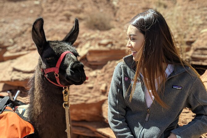 Spectacular 8-Hour Guided Llama Hike with Lunch and Dinner - Highlights