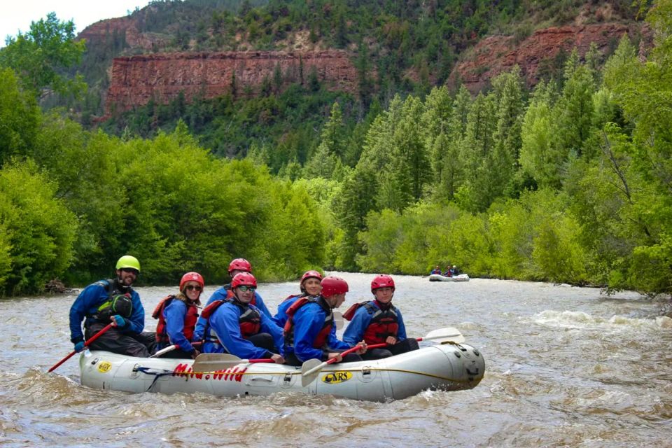 Telluride 1 Day Rafting Trip with Lunch - San Miguel River - Highlights of the San Miguel River Whitewater Trip
