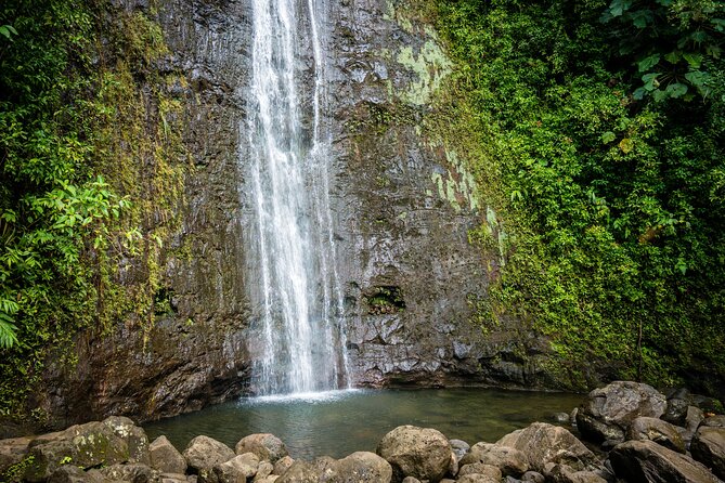 Waikiki Electric Bike Self Guided Tour- Manoa Falls Bike and Hike - Exploring the Route and Experience