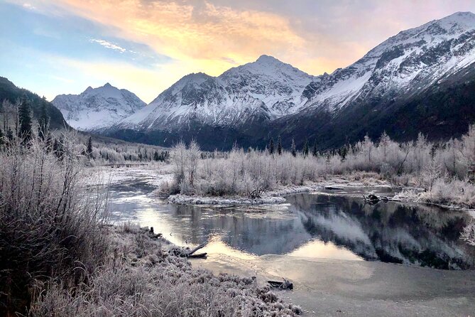 Winter Valley and Forest Hike - A Dive into the Winter Valley and Forest Hike