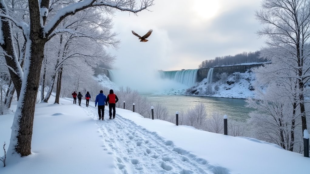winter hiking wildlife adventures