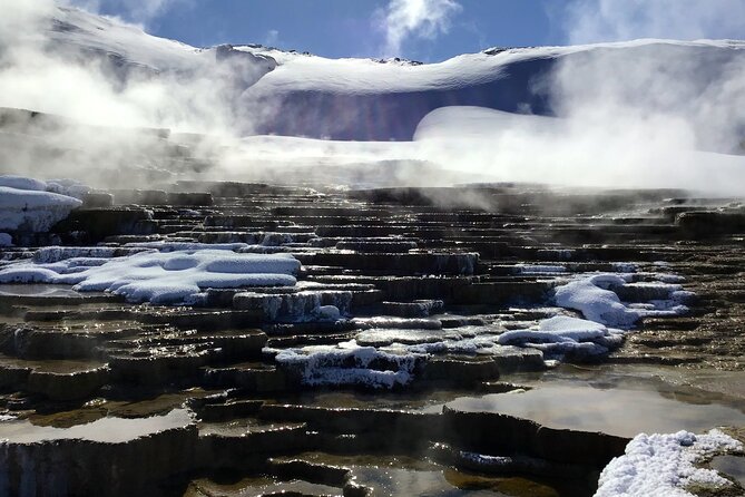 Yellowstone Full Day Winter Tour (With Optional Hike or Snowshoe) - The Itinerary Breakdown: What to Expect From Each Stop
