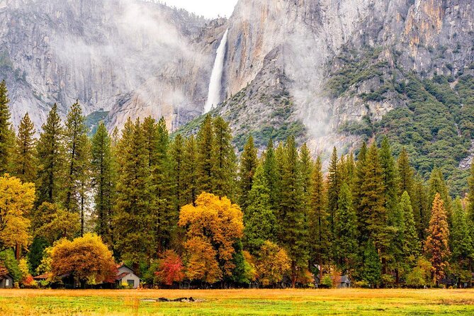 Yosemite Full Day Private Tour and Hike - A Detailed Look at the Yosemite Full Day Private Tour and Hike