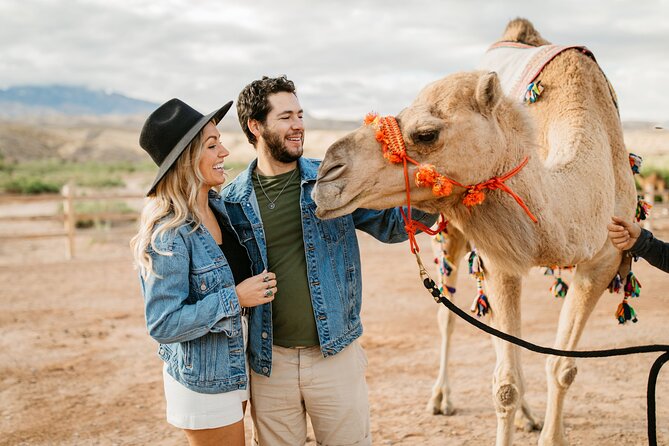 Camel Safari - Camel Ride and Zoo Tour - A Close-Up Look at the Tour Itinerary