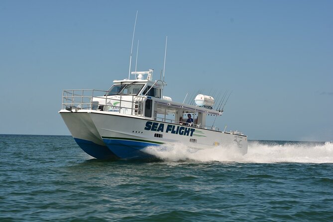 Deep Sea Fishing EIGHT Hour - The Experience: What You Will Love and What to Watch For