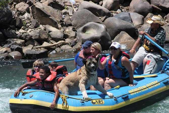Durango Rafting - Quarter Day Family Friendly Trip - What to Expect from This Rafting Trip