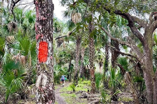 Guided Day Hike Through Florida's wild Backcountry. - Frequently Asked Questions