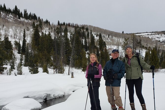 Guided Uinta Forest 3-Mile Hike w/fire + Lunch/charcuterie Stop - Highlights