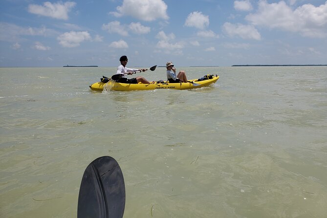 Kayak Trip, 1 Wet Hike + 2 dry hikes in Everglades National Park - Who Should Consider This Tour?