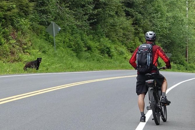 Ketchikan Electric Bike and Rain Forest Hike Ecotour - A Closer Look at the Experience