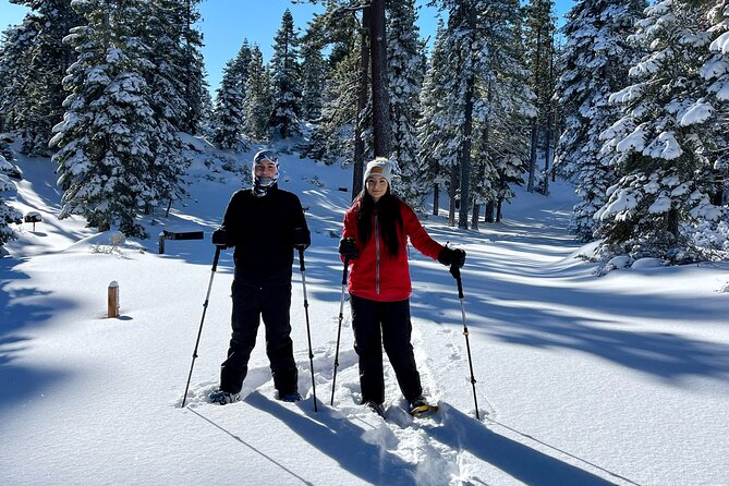 Lake Tahoe-Hike Year Round With a Local - A Deep Dive into the Experience