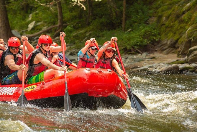 Lower Pigeon River Rafting Tour - Highlights