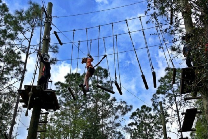 Orlando Tree Trek Adventure Park - Authentic Visitor Insights