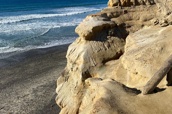 Private North County San Diego Electric Bike and Hike Tour - Highlights of the North County San Diego Electric Bike and Hike Tour