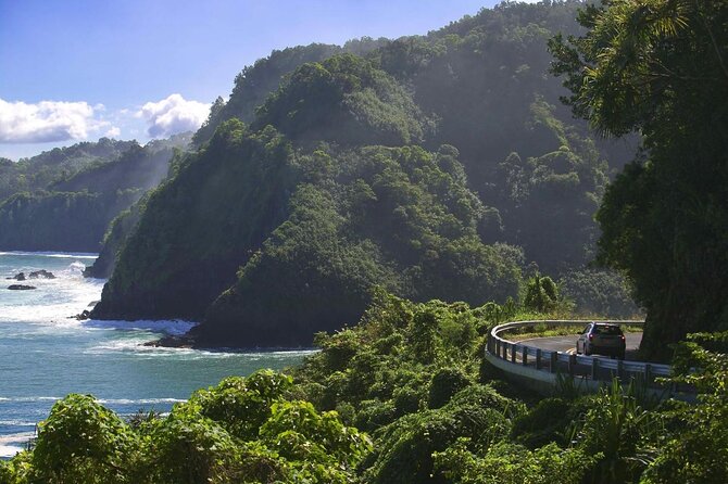 Ultimate Hana Full-Day Adventure Tour - A Deep Dive into the Hana Full-Day Journey