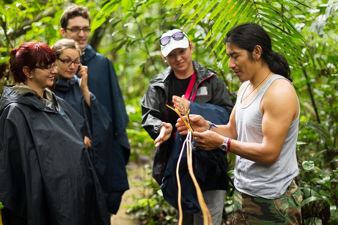 Waterfall, Rainforest, Chocolate Tour & Historical Sites - Who Will Love This Tour?