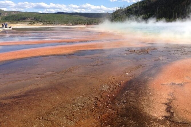Yellowstone For Kids Family Fun Tour w/PU in West Yellowstone - Analyzing the Full-Day Itinerary