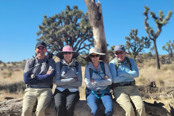 Full Day Hike in Joshua Tree National Park - An In-Depth Look at the Itinerary and Logistics