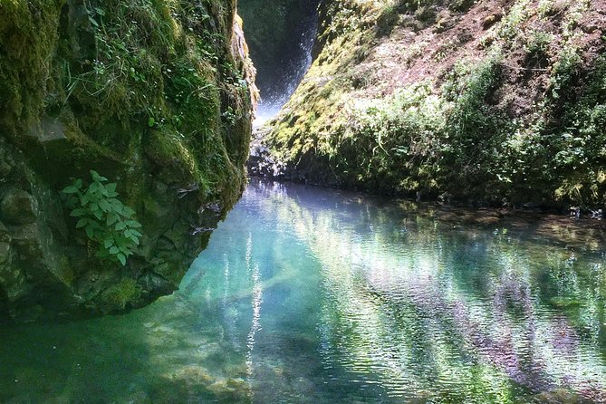 Hike and Bike Tour to Columbia River Gorge Waterfalls - What Makes This Tour Stand Out