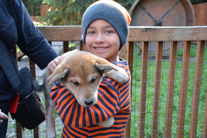 Musher's Camp and S'more Roasting Experience - The Return Journey